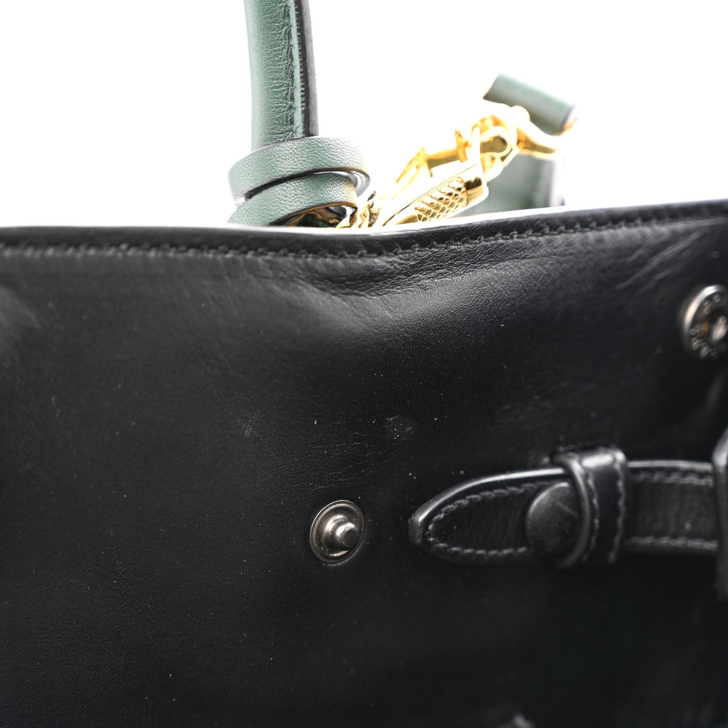 City Calfskin Medium Colorblock Bibliothèque Tote Green Black