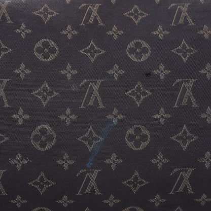 Louis Vuitton Mini Lin Speedy 30 Ebene 14 of 15
