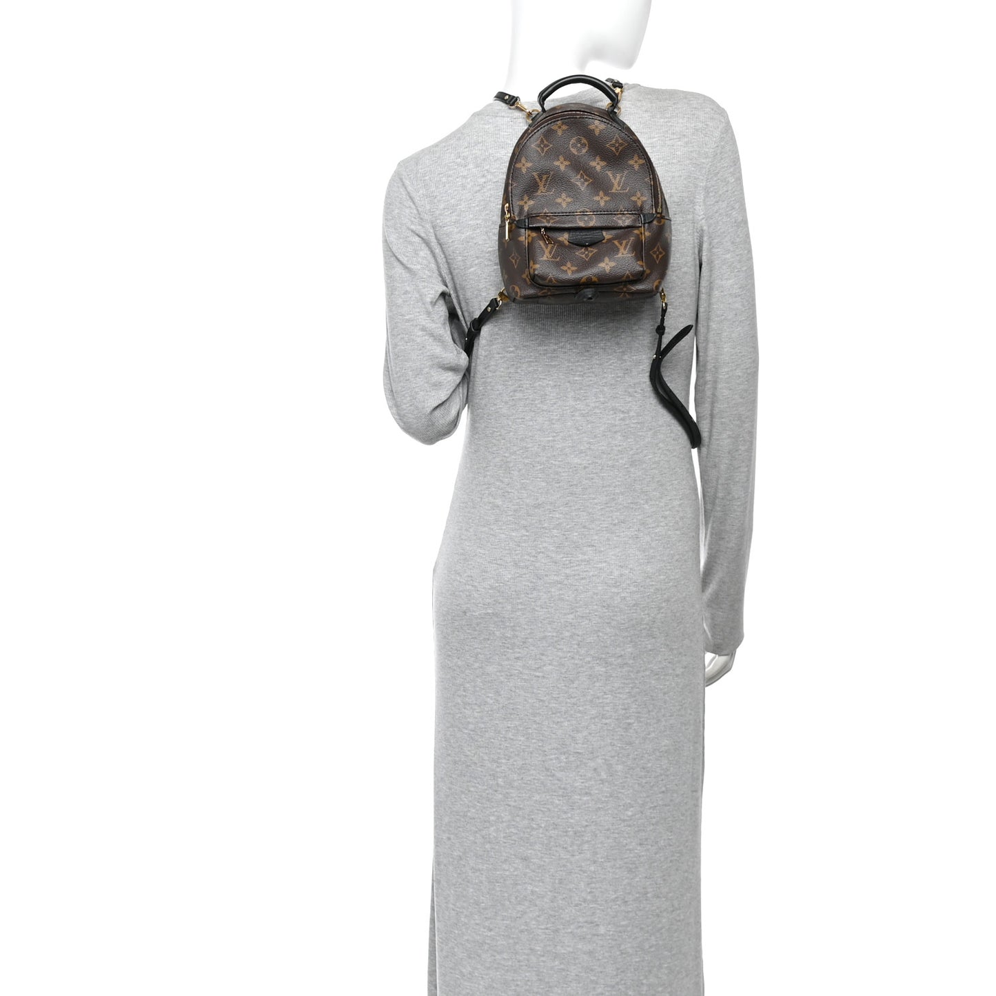 Monogram Palm Springs Backpack Mini