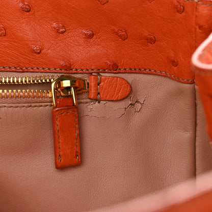Prada Ostrich Double Zip Tote Papaya 12 of 18