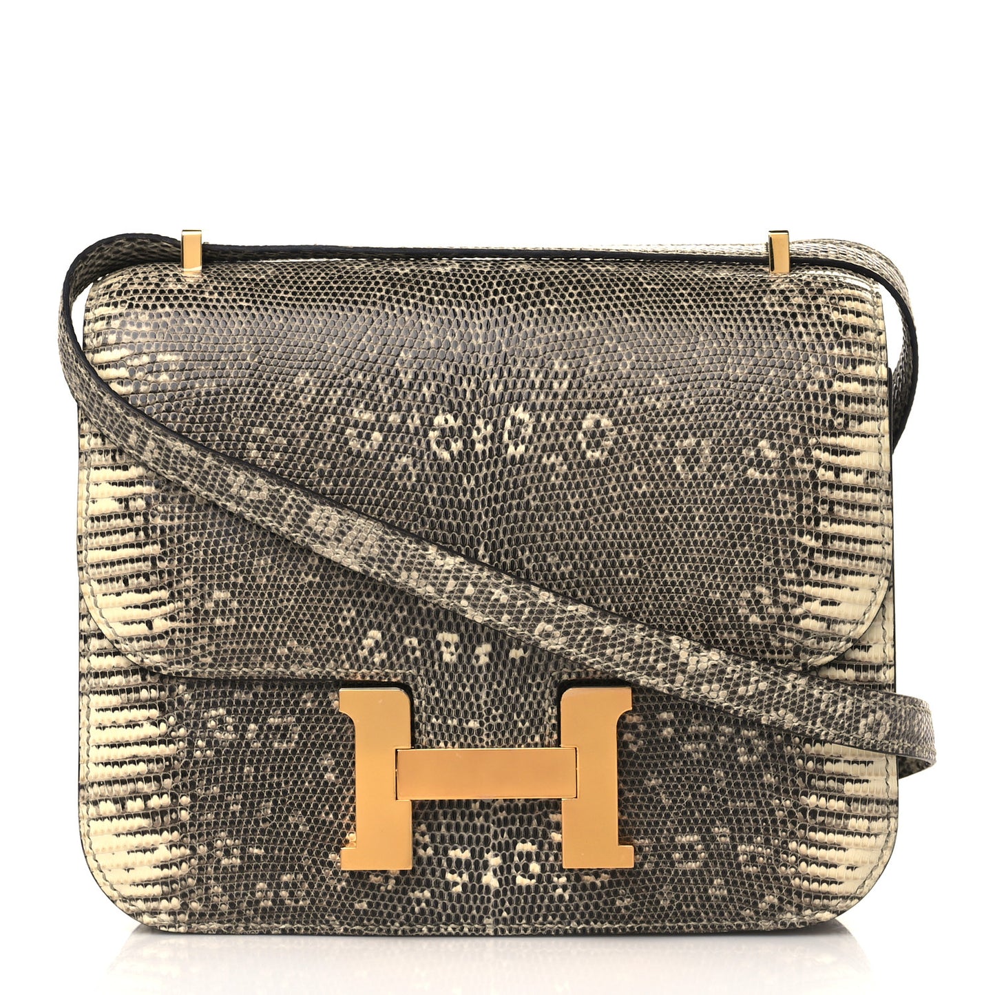 Lizard Constance 18 Ombre
