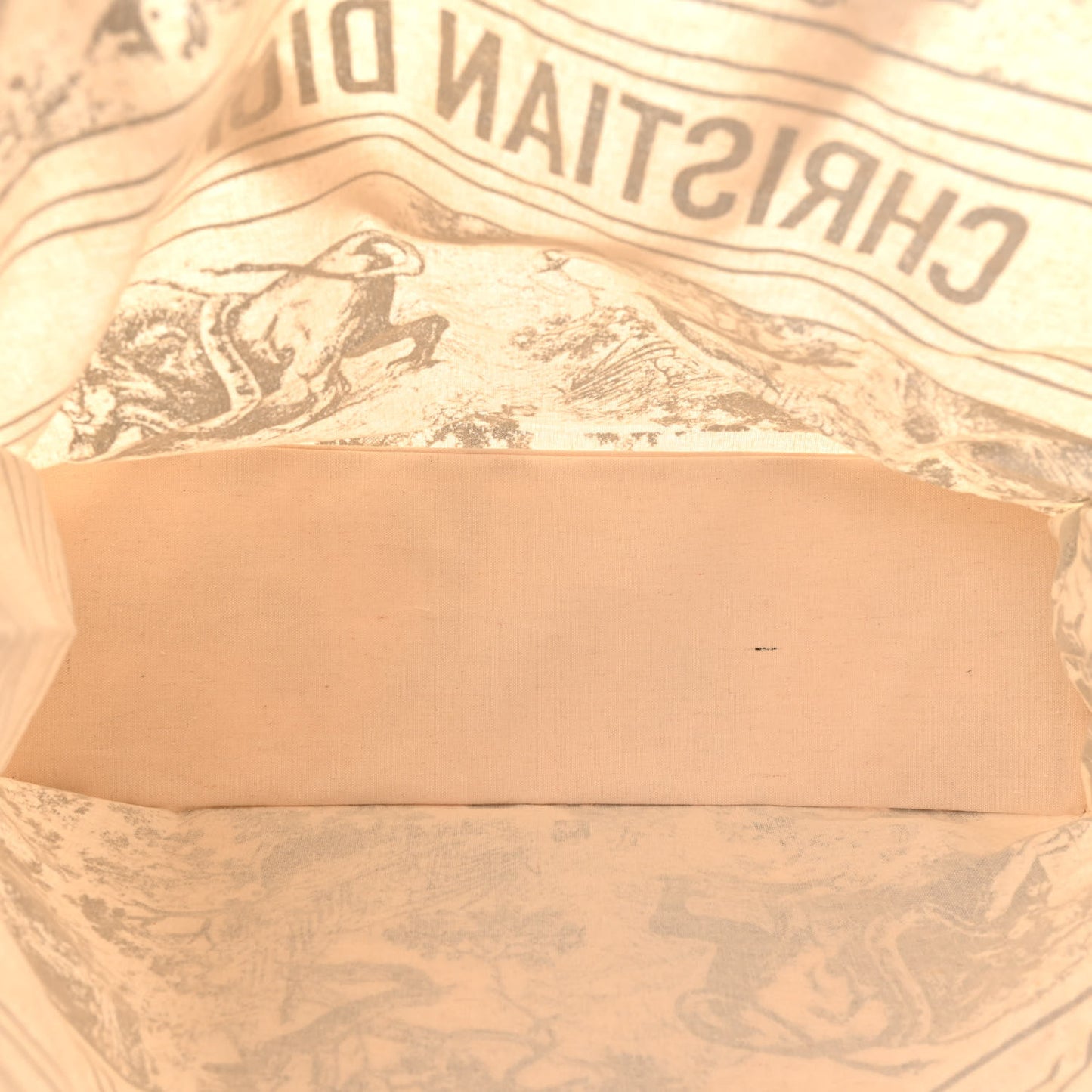 Straw Dioriviera Tote Grey