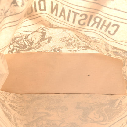 Christian Dior Straw Dioriviera Tote Grey 5 of 11