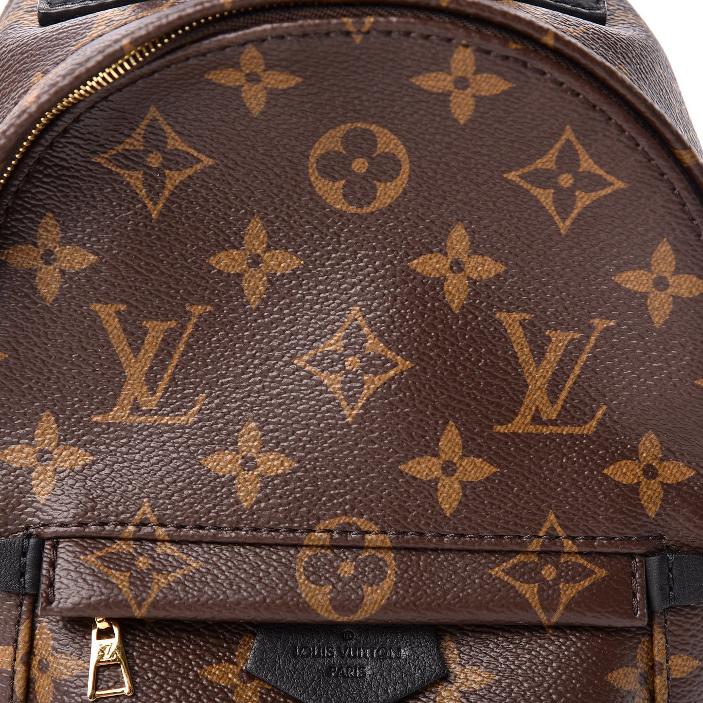 Monogram Palm Springs Backpack Mini