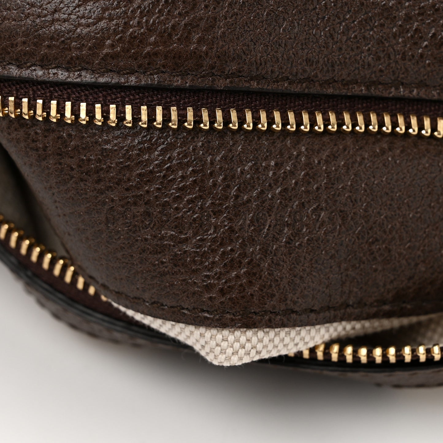 GG Supreme Monogram Textured Dollar Calfskin Blondie Chain Shoulder Flap Bag Beige Ebony New Acero