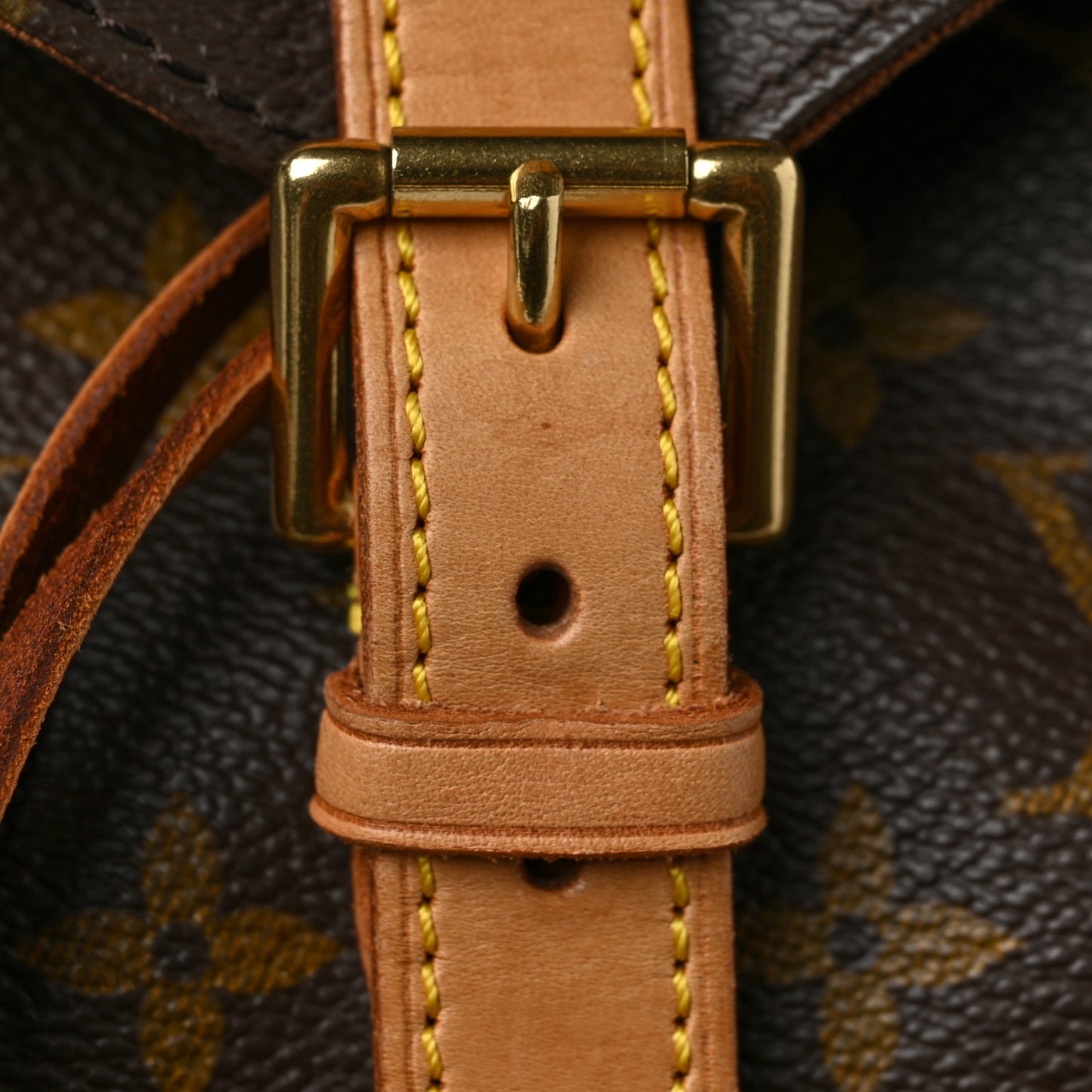 Monogram Montsouris MM Backpack