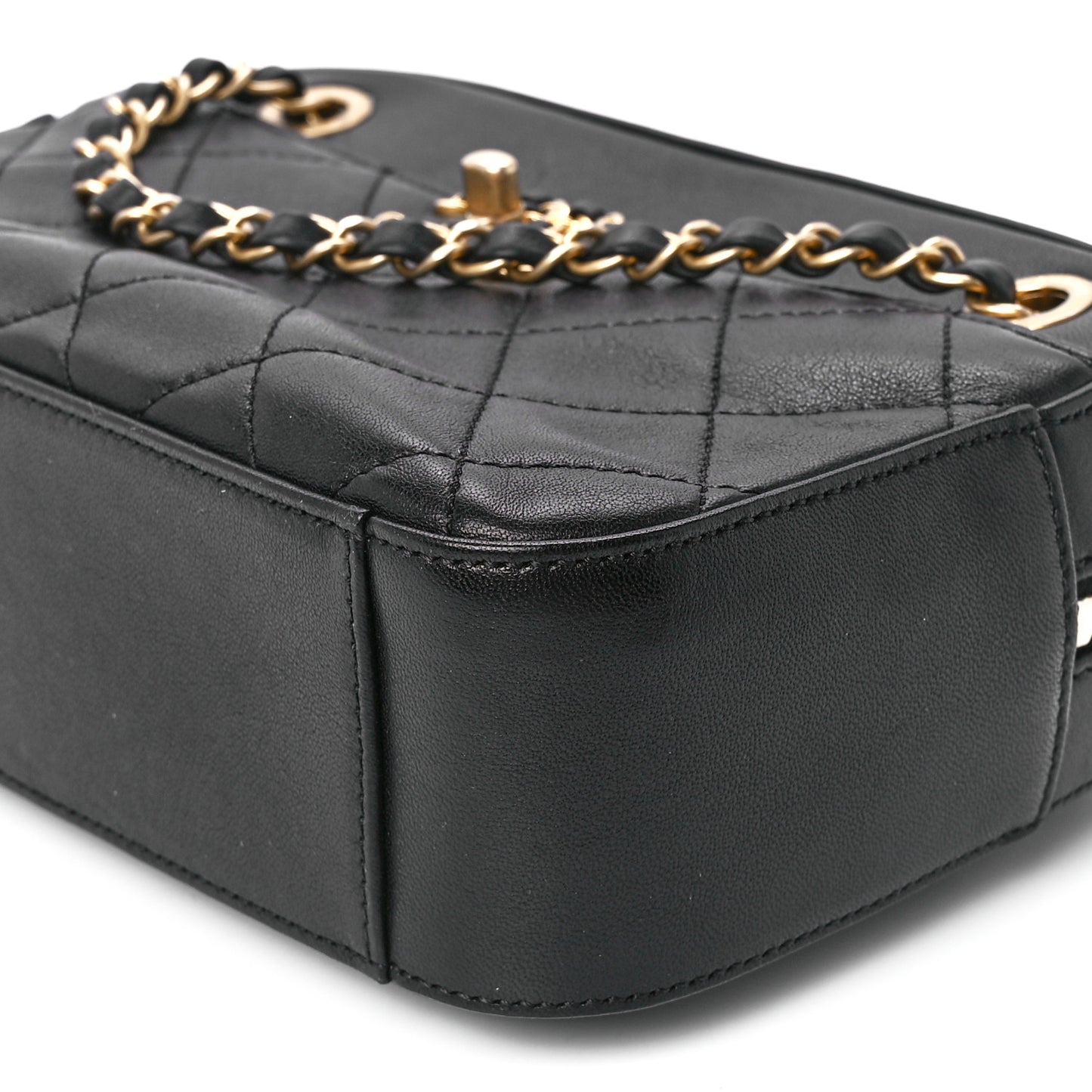 Goatskin Quilted Chanel 19 Camera Case Black