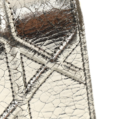 Christian Dior Metallic Ceramic Effect Deerskin Medium Diorama Flap Bag Silver 13 of 14