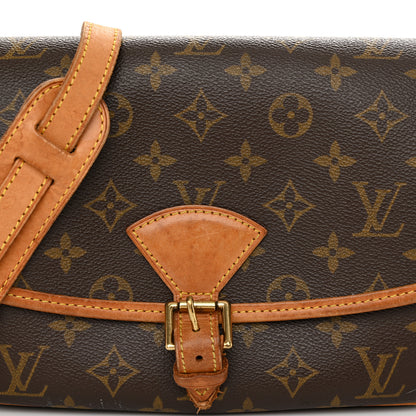 Louis Vuitton Monogram Sologne 7 of 13