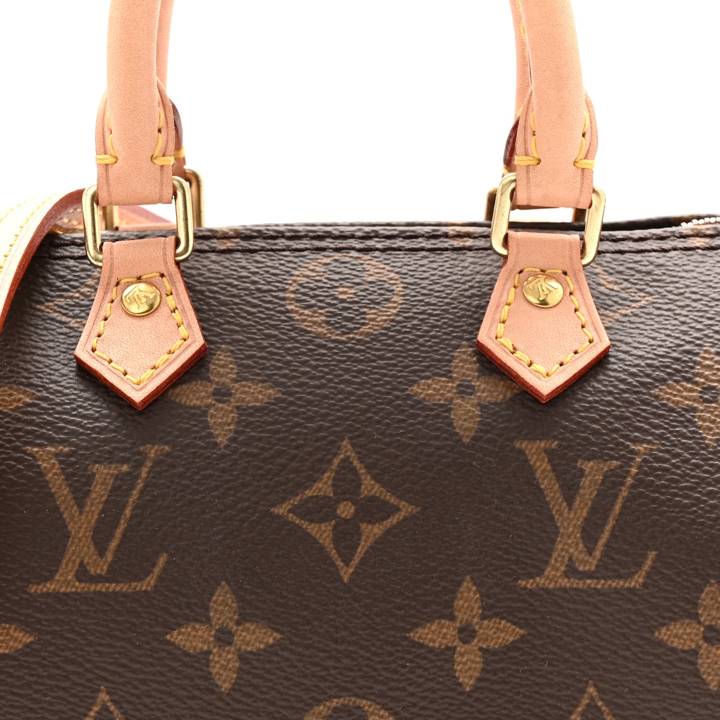 Monogram Nano Speedy