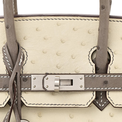 Hermes Ostrich Horseshoe Birkin 25 Beton Gris Asphalte 8 of 12