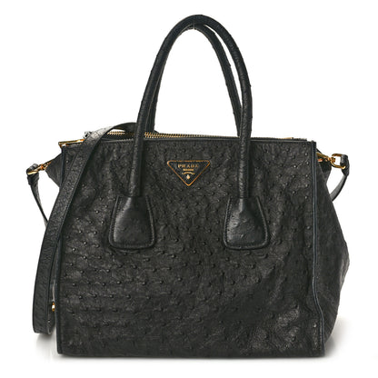 Prada Ostrich Small Double Zip Tote Black 1 of 9