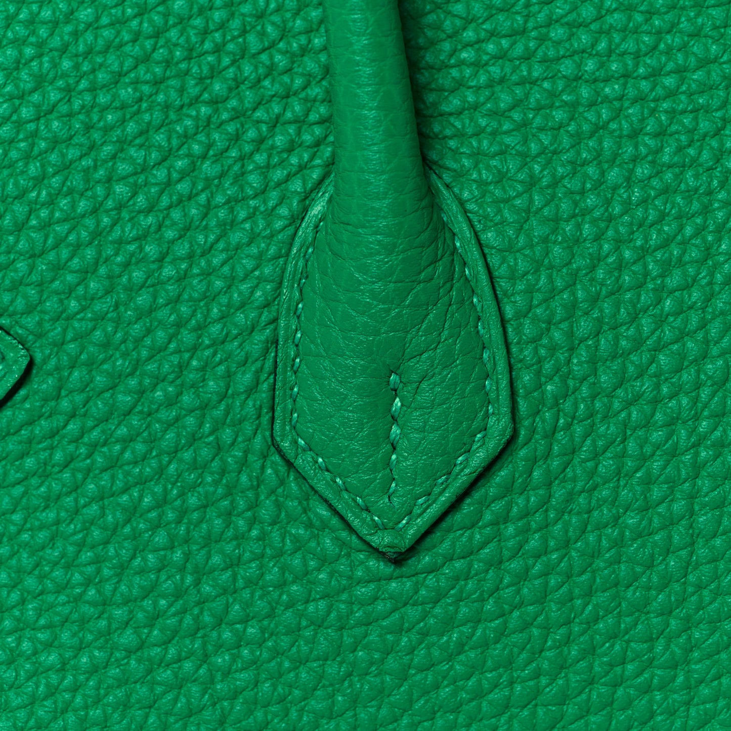 Togo Verso Birkin 25 Menthe Vert Bosphore