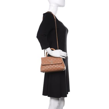 Chanel Caviar Quilted Lizard Embossed Mini Coco Handle Flap Brown 2 of 12