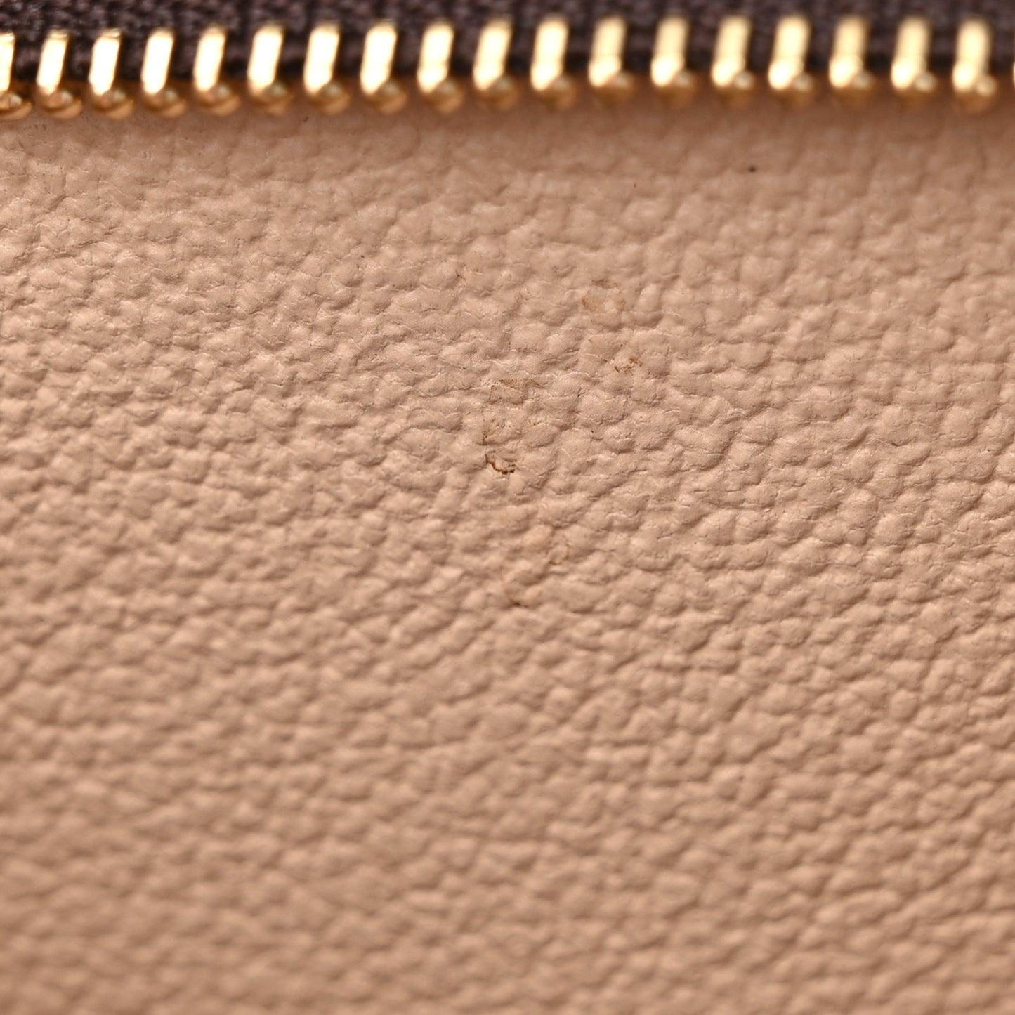 Monogram Toiletry Pouch 19