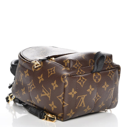 Louis Vuitton Monogram Palm Springs Backpack Mini 4 of 7
