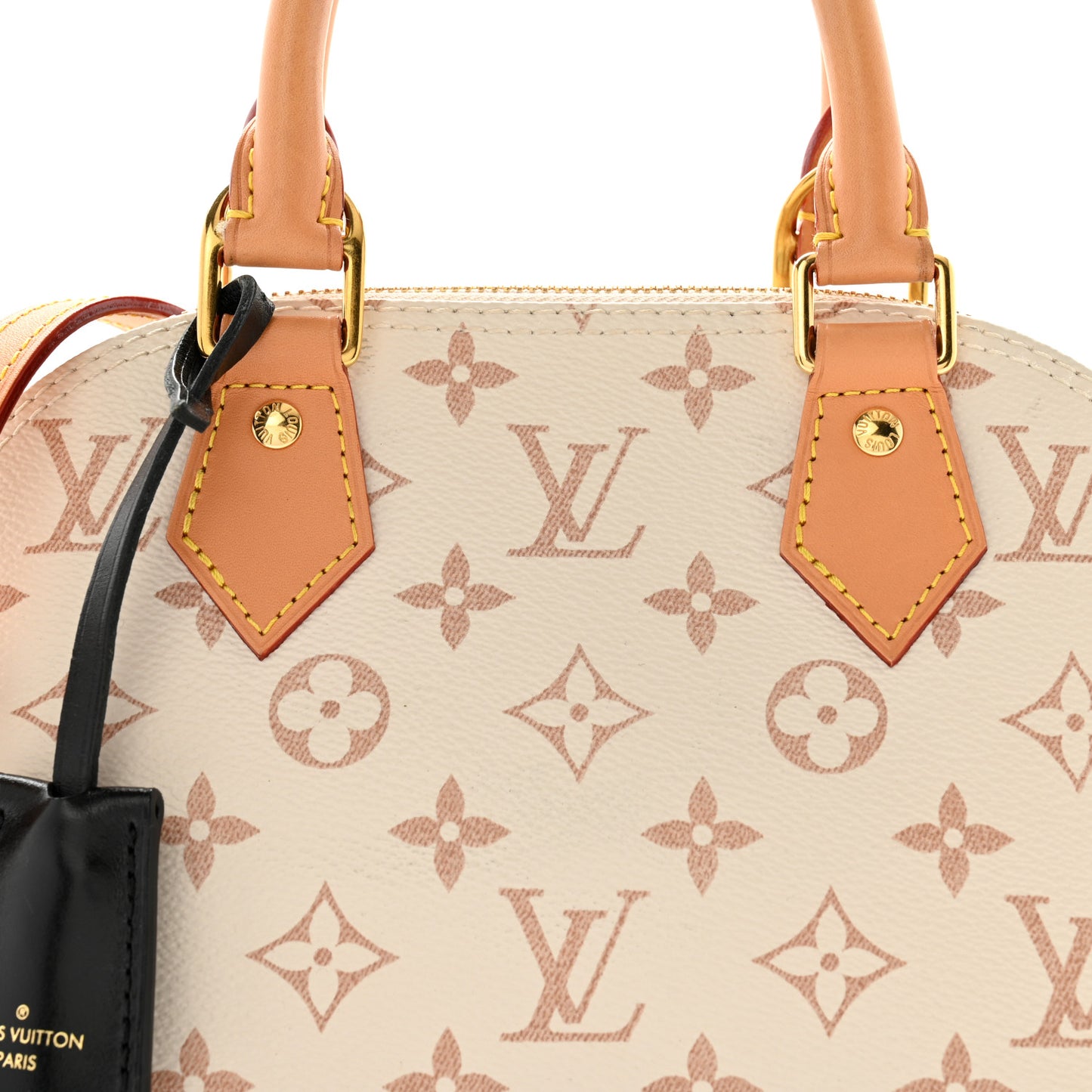 Monogram Dune Alma BB