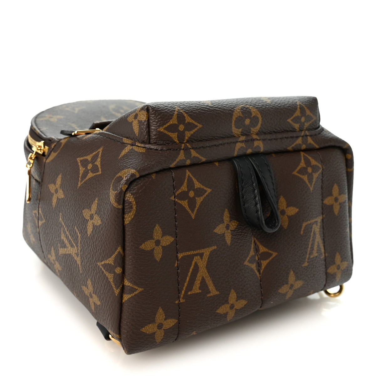 Monogram Palm Springs Backpack Mini