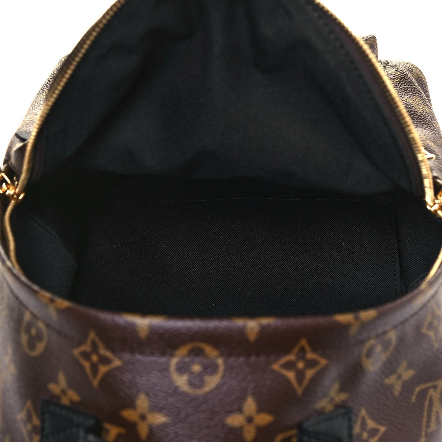 Monogram Palm Springs Backpack PM