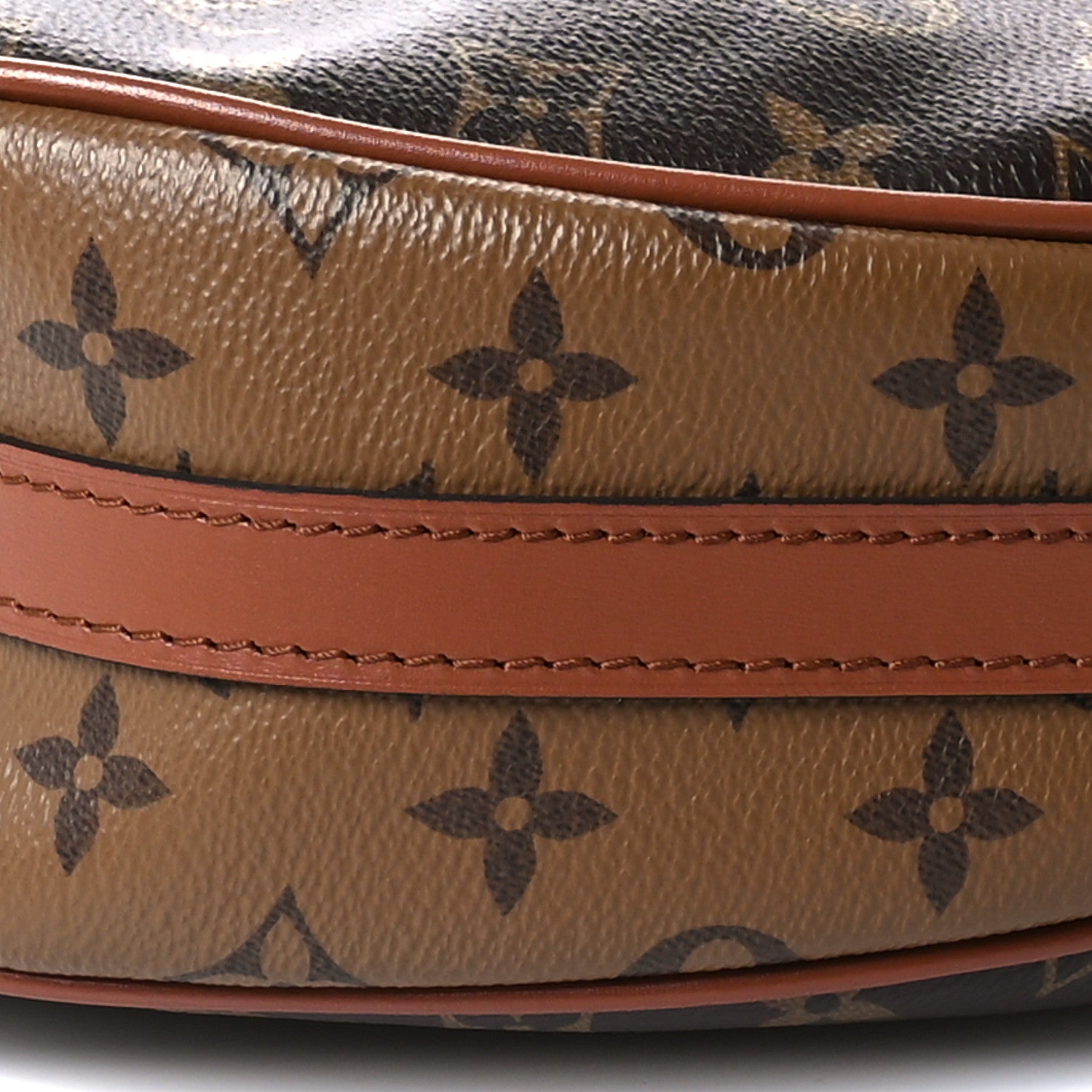 Louis Vuitton Reverse Monogram Loop Hobo 10 of 12