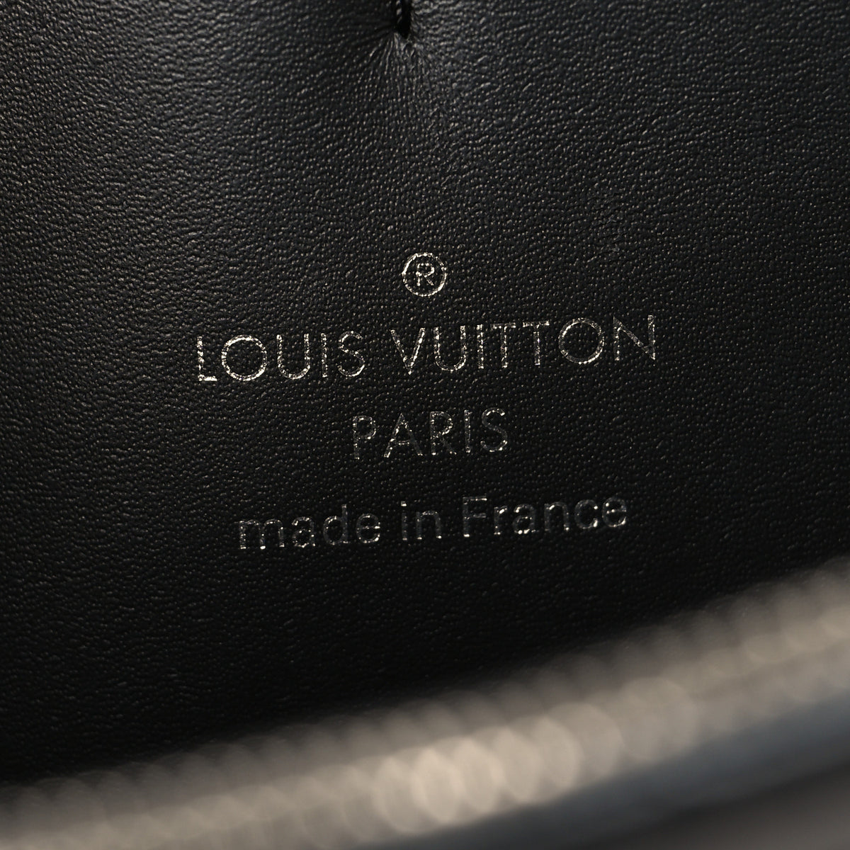 Louis Vuitton Reverse Monogram Giant Dauphine Bumbag 6 of 9