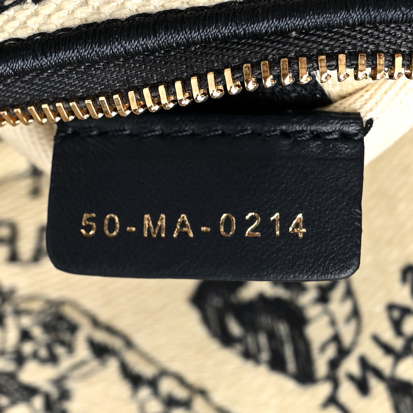 Canvas Embroidered Medium Plan de Paris Lady D-Lite Beige Black