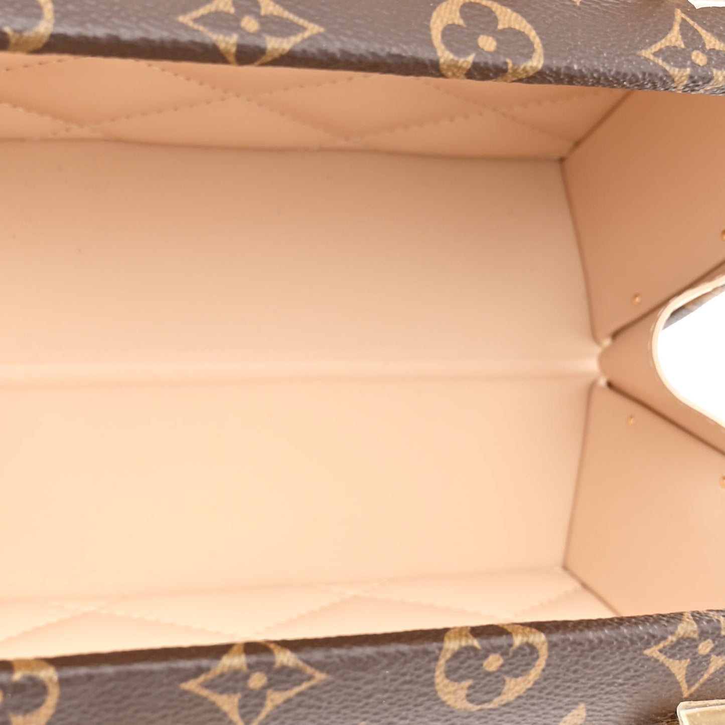 Monogram Speedy Trunk 20