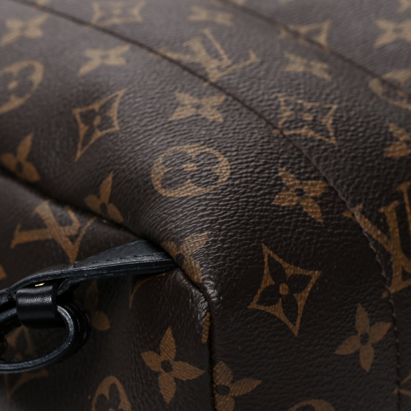 Monogram Palm Springs Backpack PM