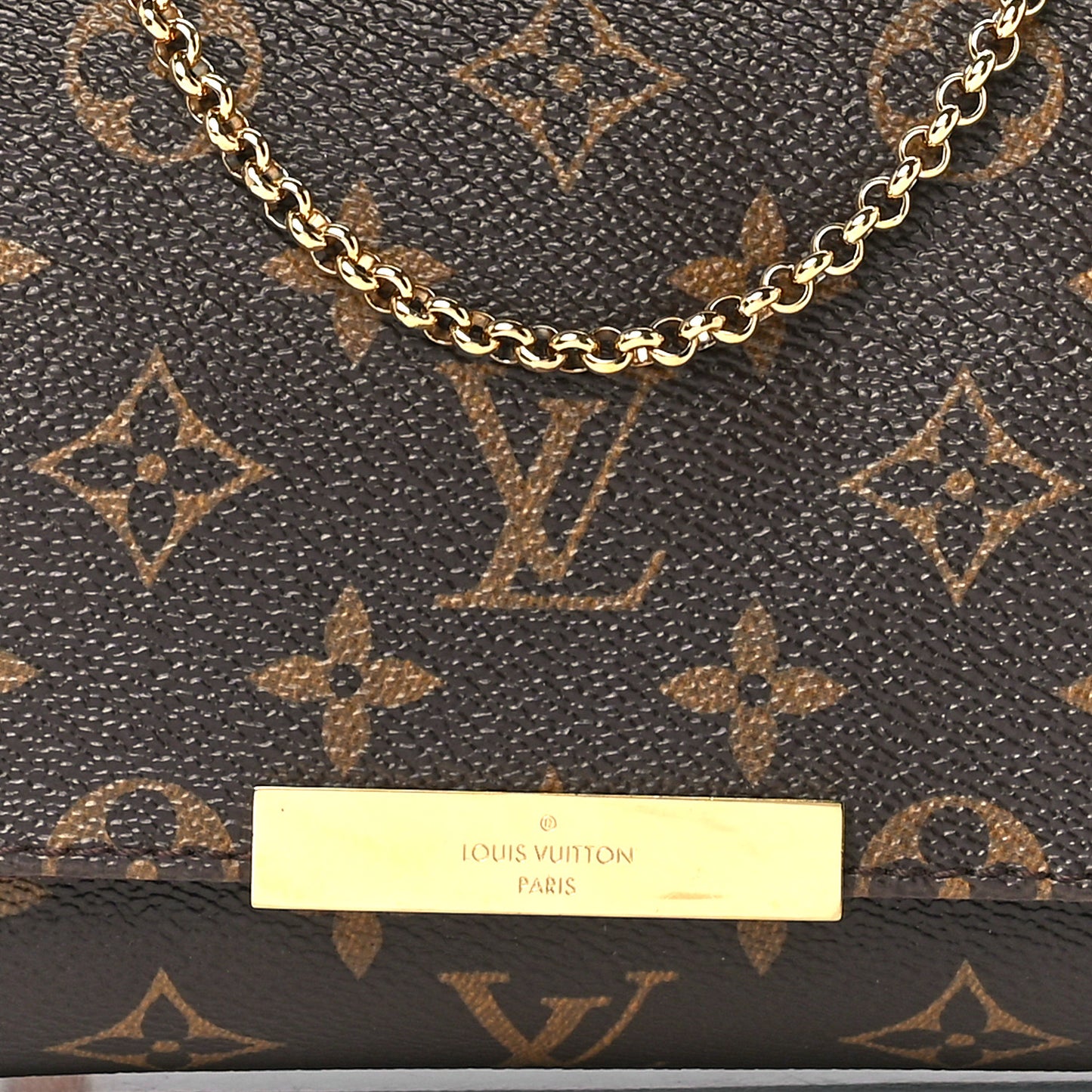 Monogram Favorite PM