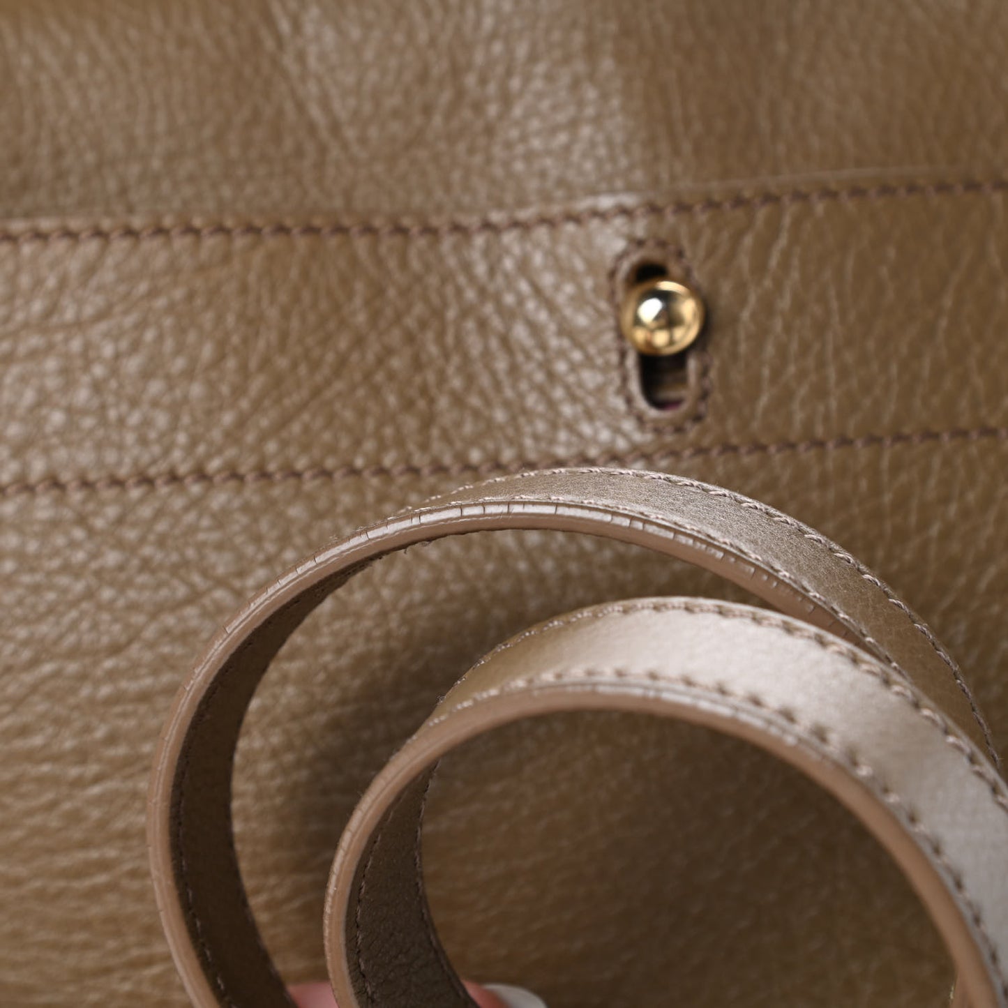 Calfskin Canvas Medium Muse Two Taupe Pink