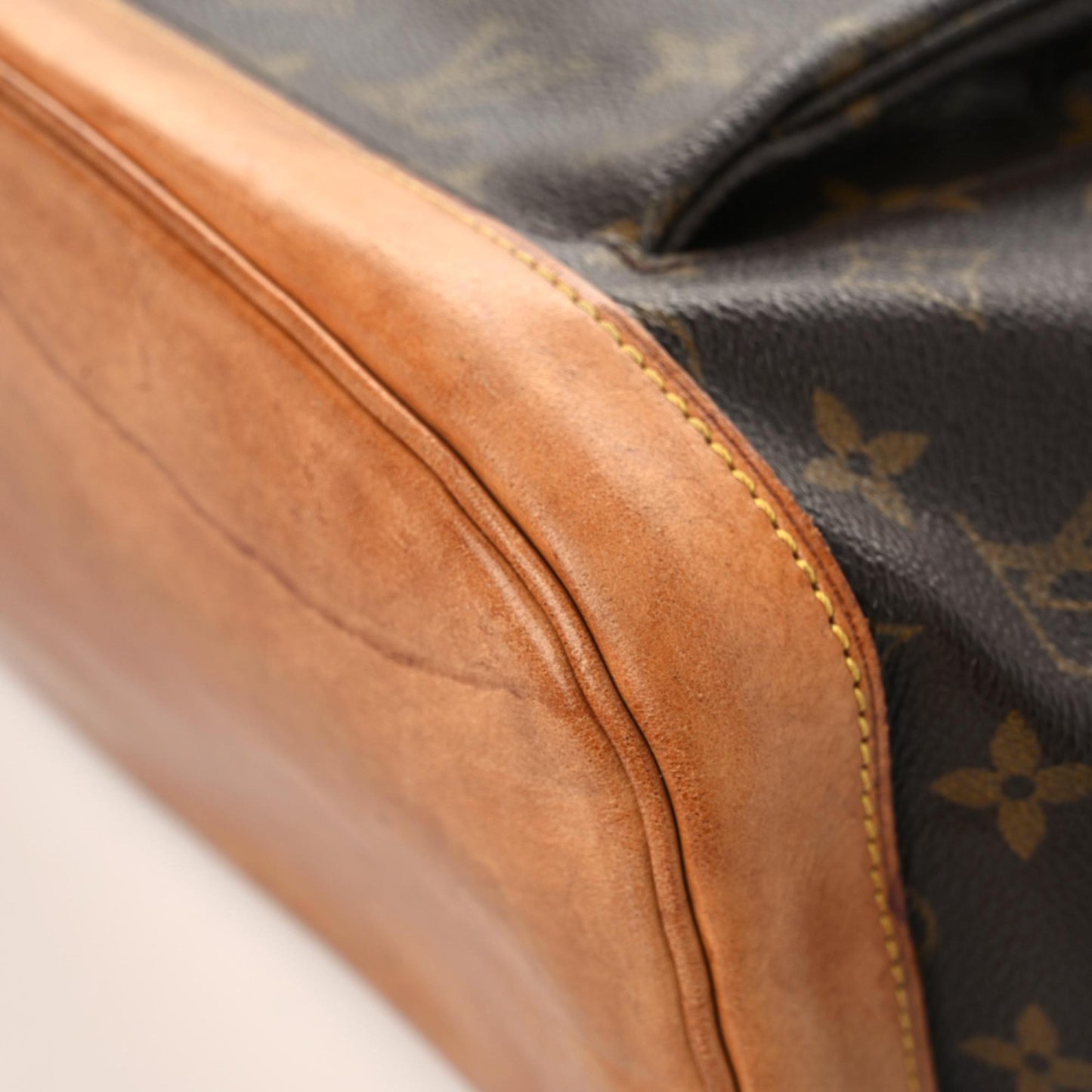 Monogram Montsouris GM Backpack
