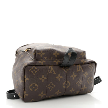 Louis Vuitton Monogram Palm Springs Backpack PM 4 of 11