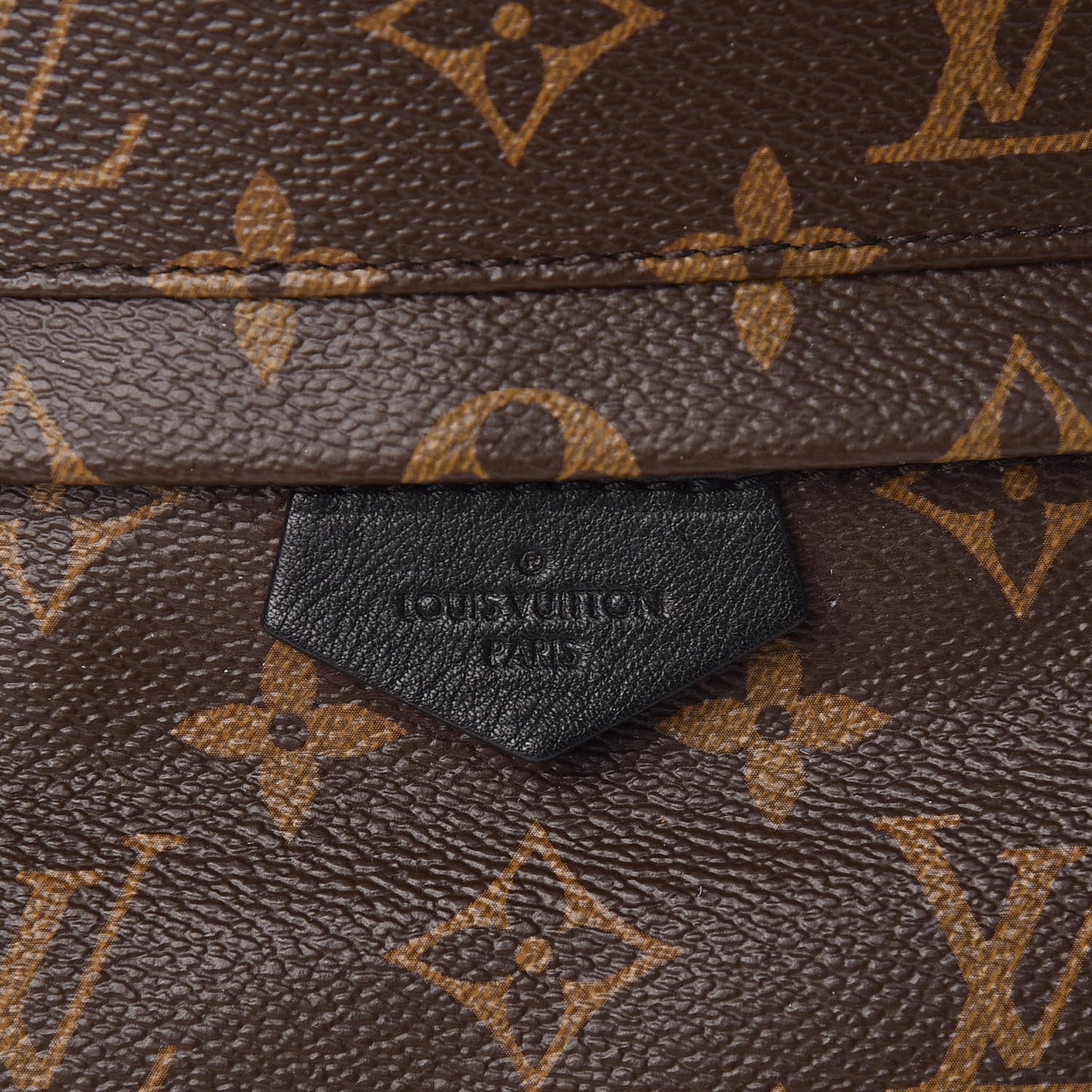 Monogram Palm Springs Backpack PM