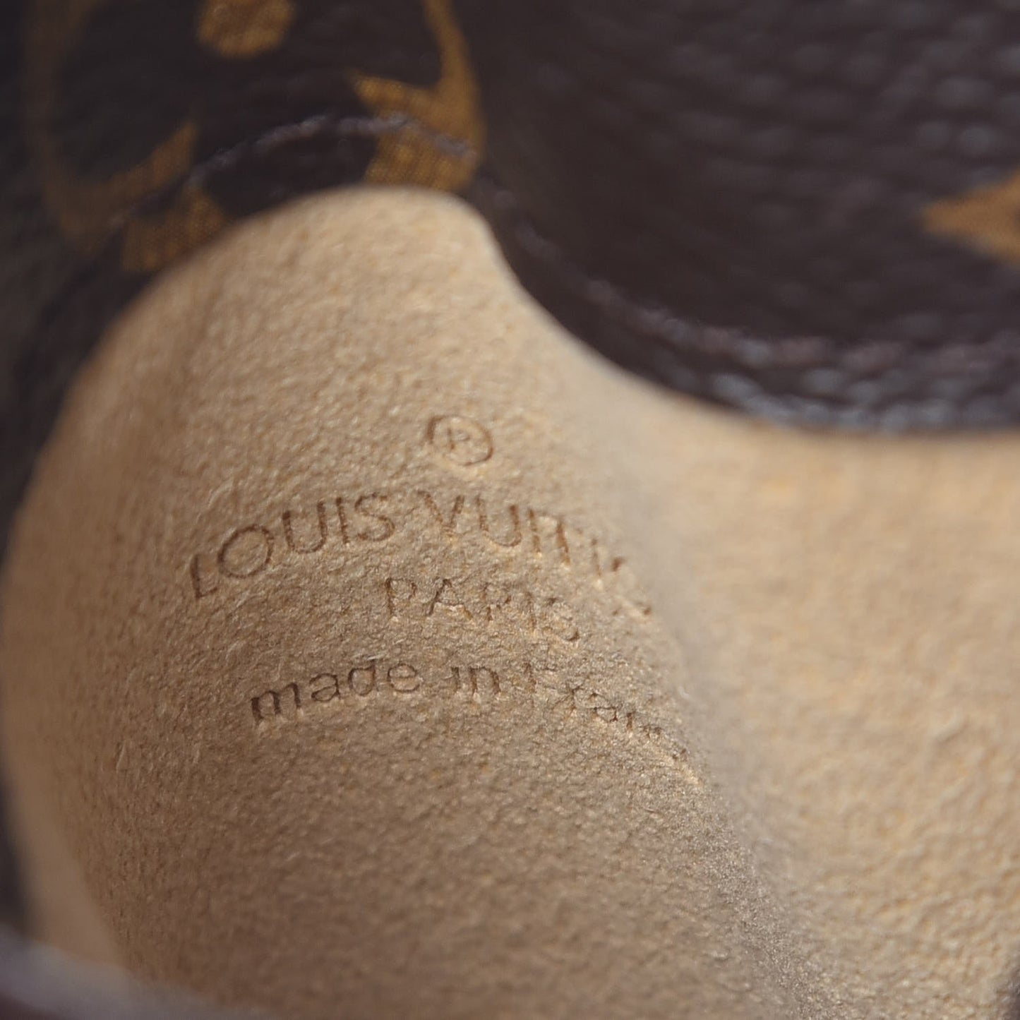 Monogram Sunglasses Case MM