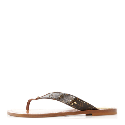Louis Vuitton Monogram Sunny Flat Thong Sandals 40 Brown 1 of 8