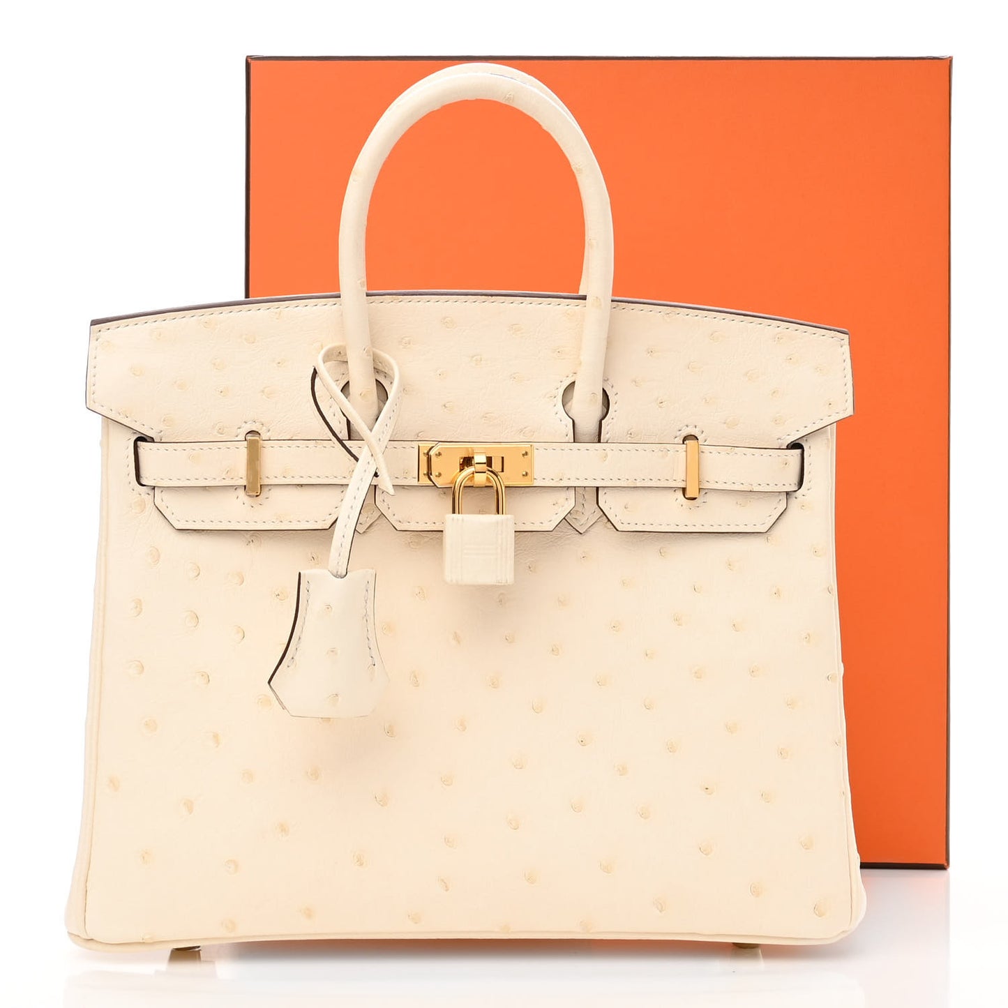 Ostrich Birkin 25 Nata