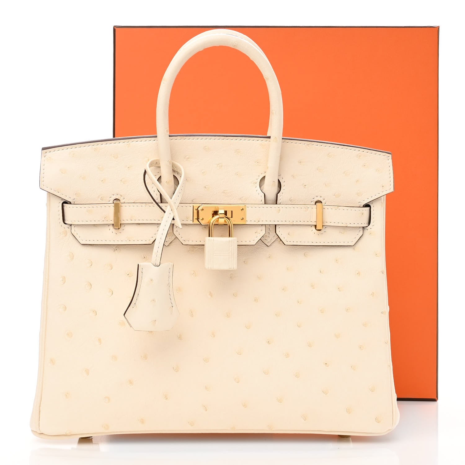 Hermes Ostrich Birkin 25 Nata 11 of 11