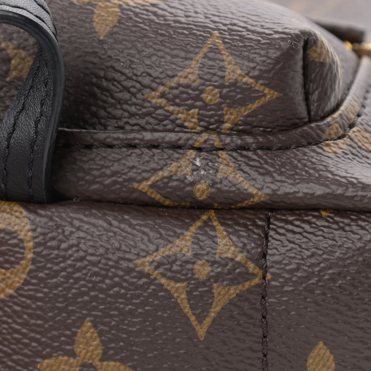 Monogram Palm Springs Backpack Mini