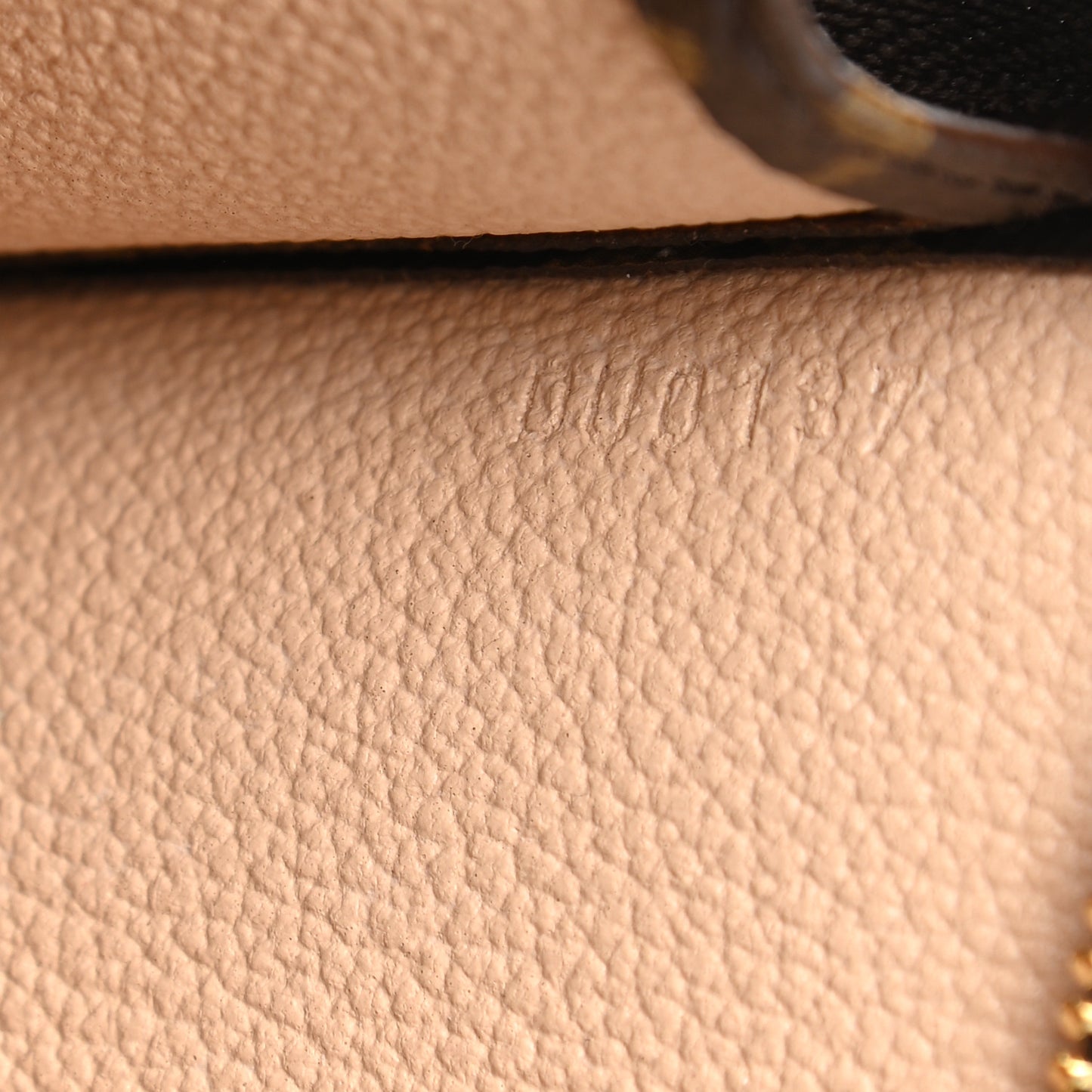 Monogram Toiletry Pouch 19