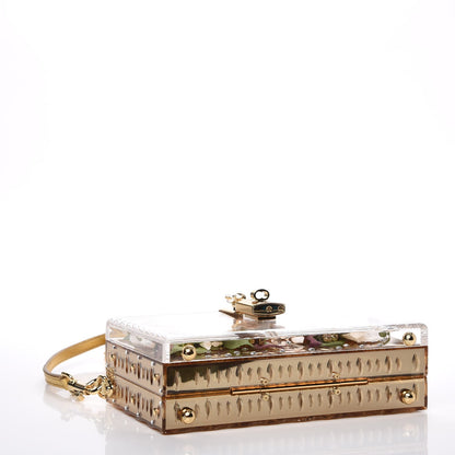 Dolce & Gabbana Metallic Plexiglass Crystal Embellished Shoulder Bag Gold 4 of 7