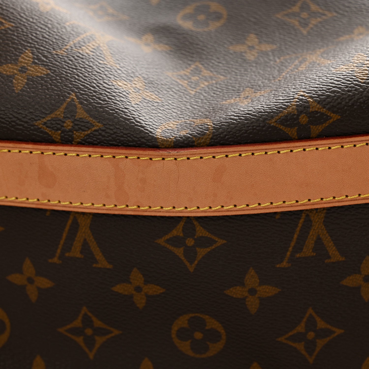Louis Vuitton Monogram Dog Carrier 45 12 of 15