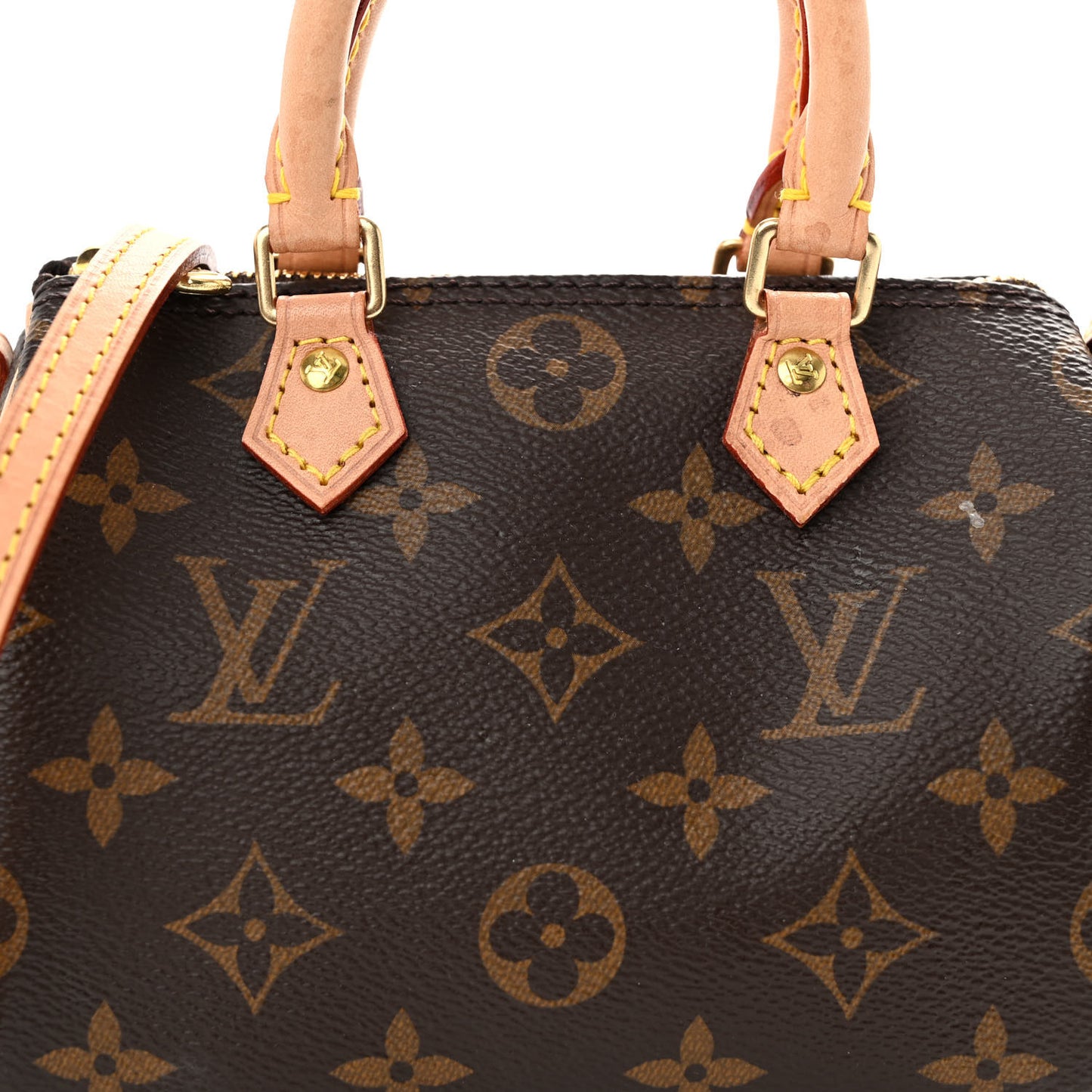 Monogram Nano Speedy