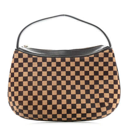 Louis Vuitton Calf Hair Damier Sauvage Tigre 1 of 8