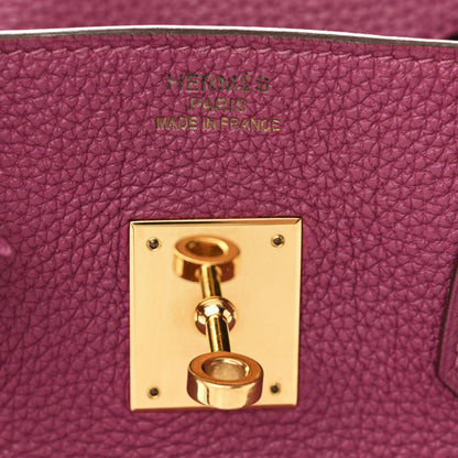 Hermes Togo Birkin 35 Tosca 6 of 10