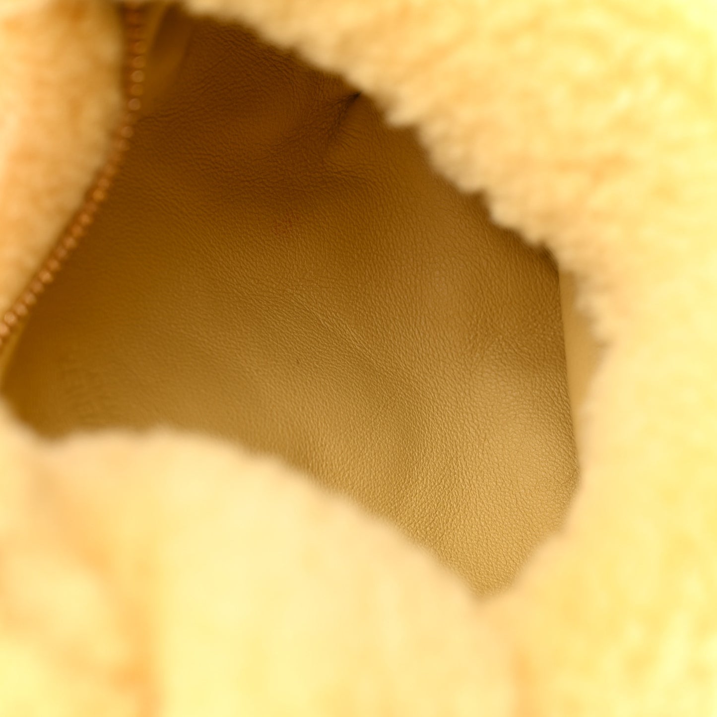 Shearling Lambskin Mini Jodie Teddy