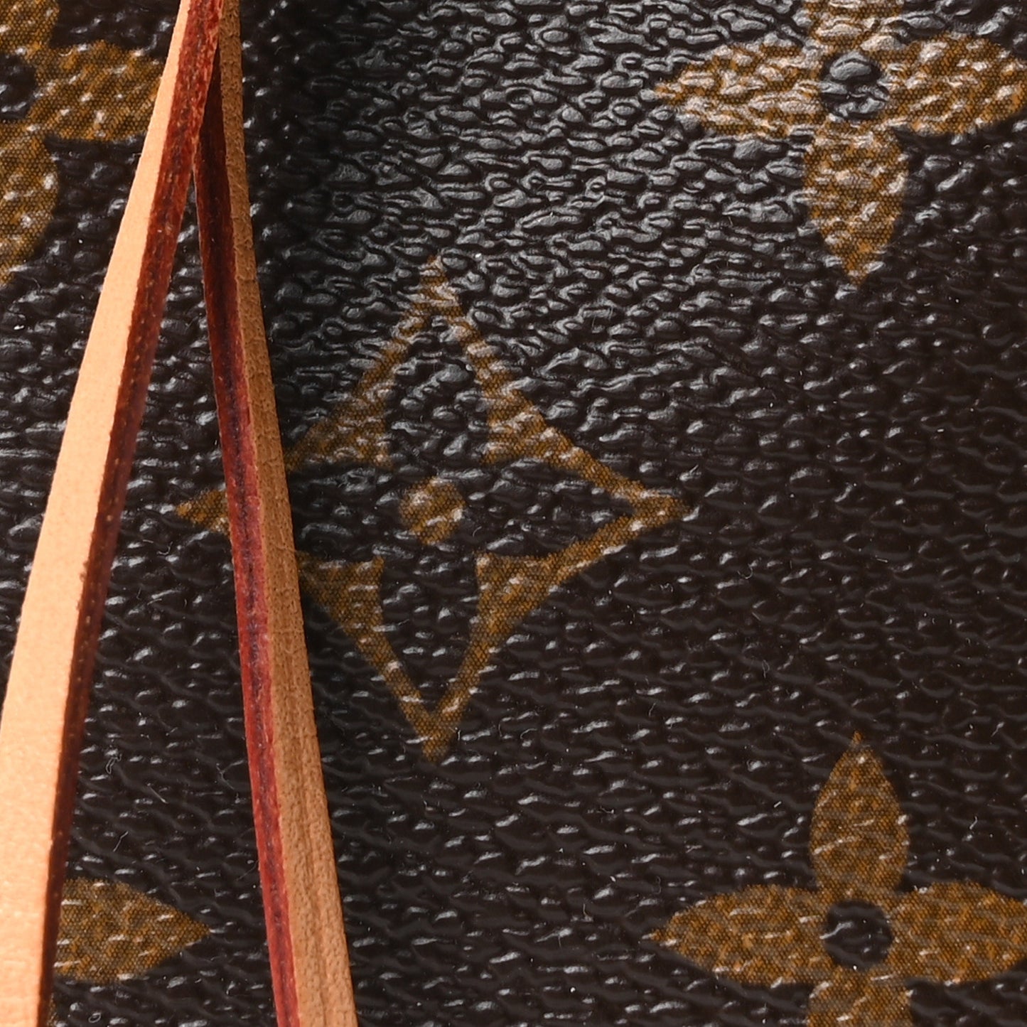 Monogram Nano Noe