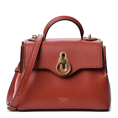 Mulberry Silky Calfskin Micro Seaton Rust 1 of 8