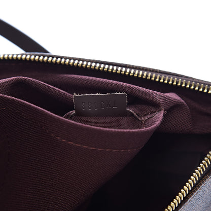 Louis Vuitton Damier Ebene Iena PM 7 of 12