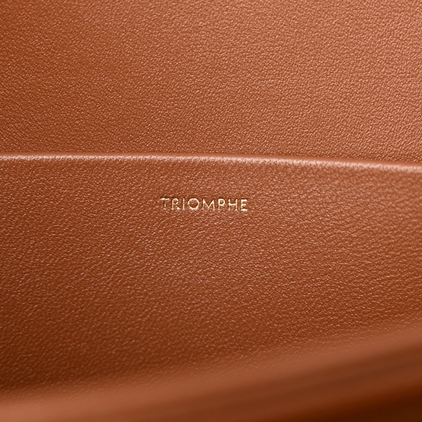 Triomphe Canvas Calfskin Medium Triomphe Bag Tan