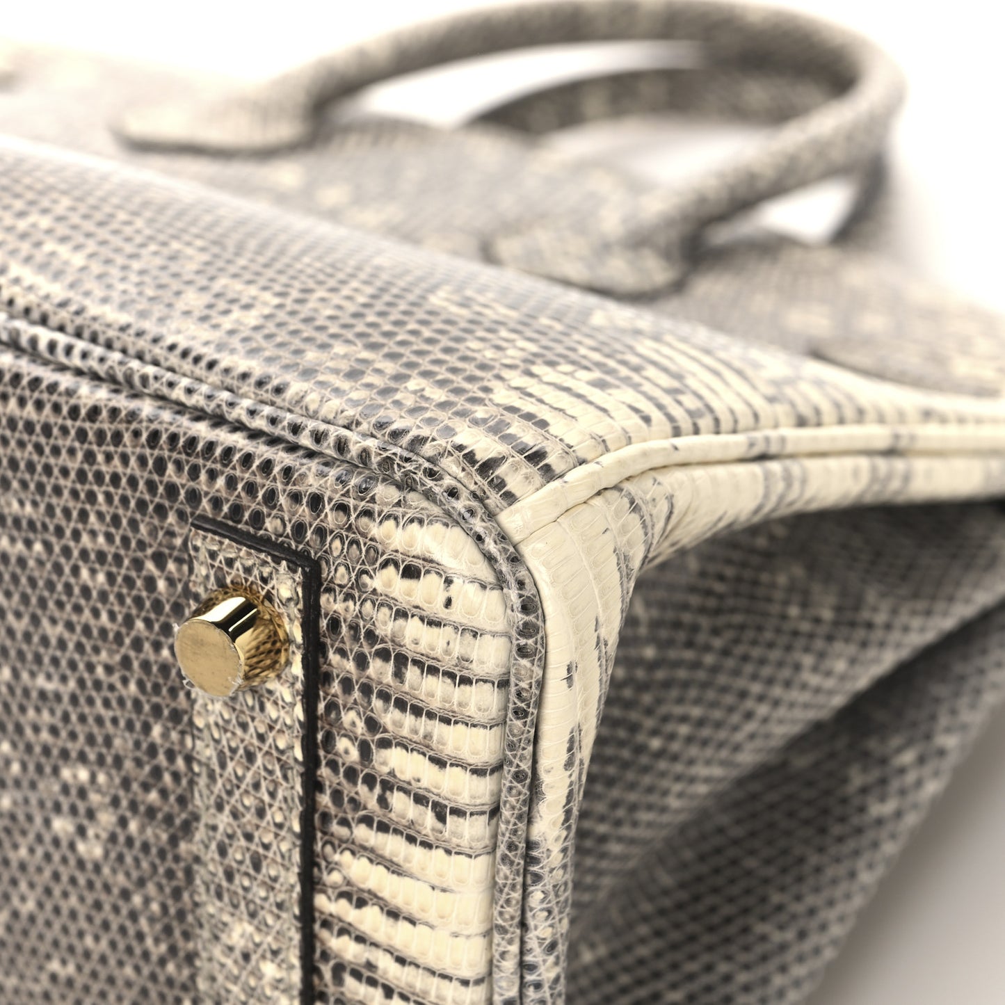 Lizard Birkin 25 Ombre